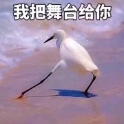 Ȼ˾